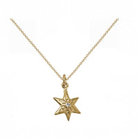 Tilda Star Necklace In Gold Plate