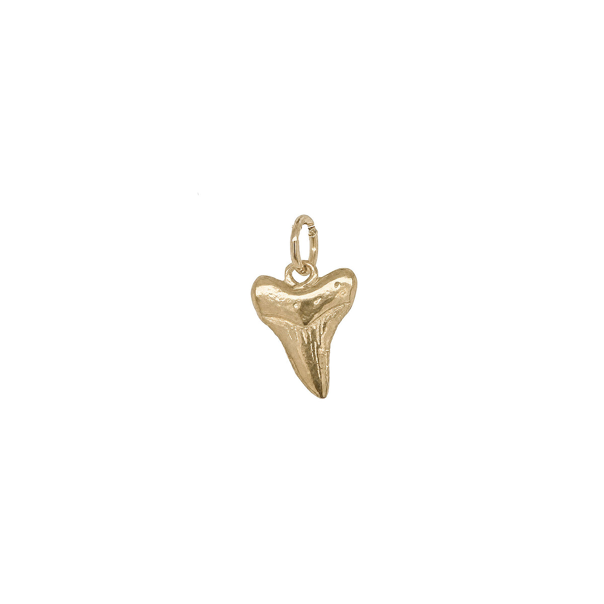 Nantucket Shark tooth Charm in 14k Gold