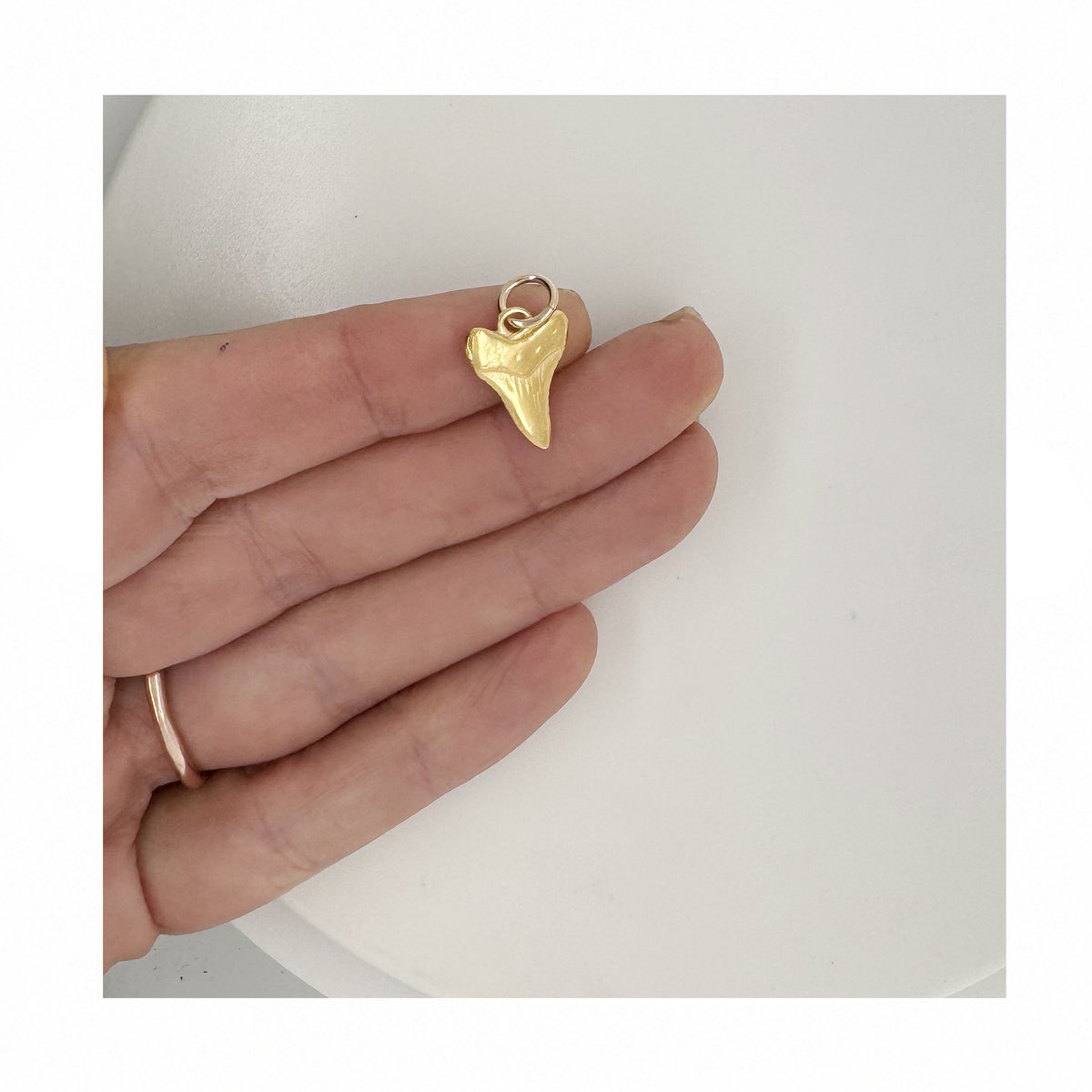 Nantucket Shark tooth Charm in 14k Gold
