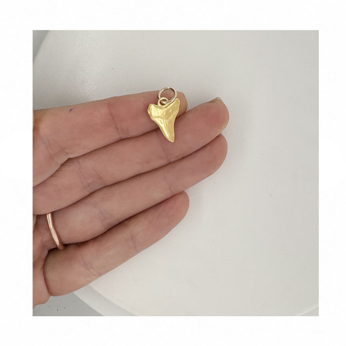 Nantucket Shark tooth Charm in 14k Gold