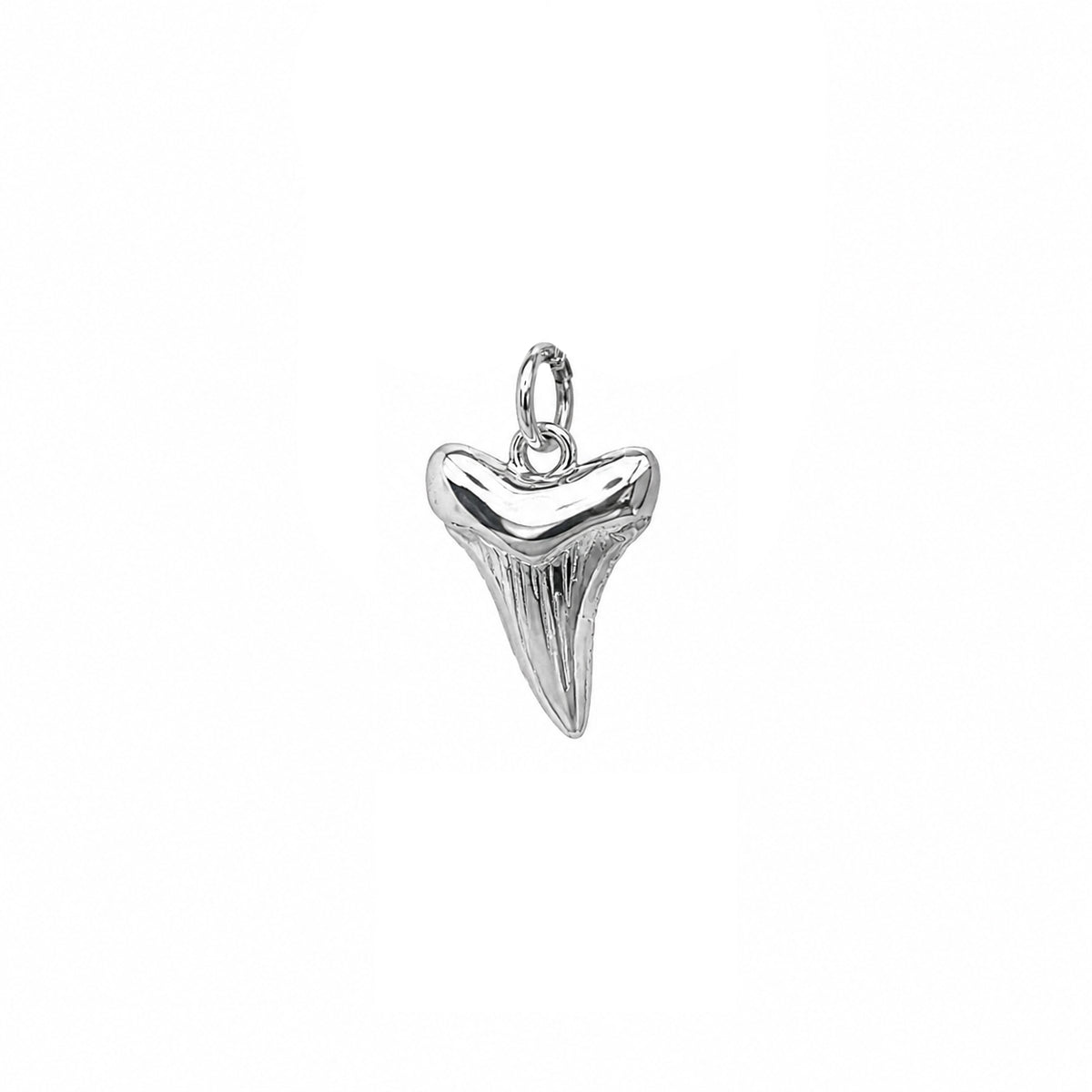 Nantucket Shark Tooth Charm in Silver