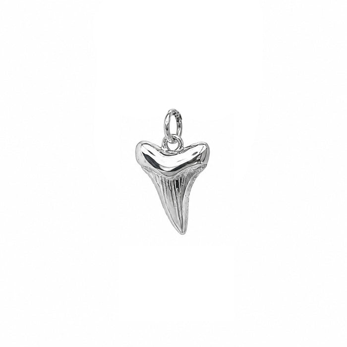 Nantucket Shark Tooth Charm in Silver