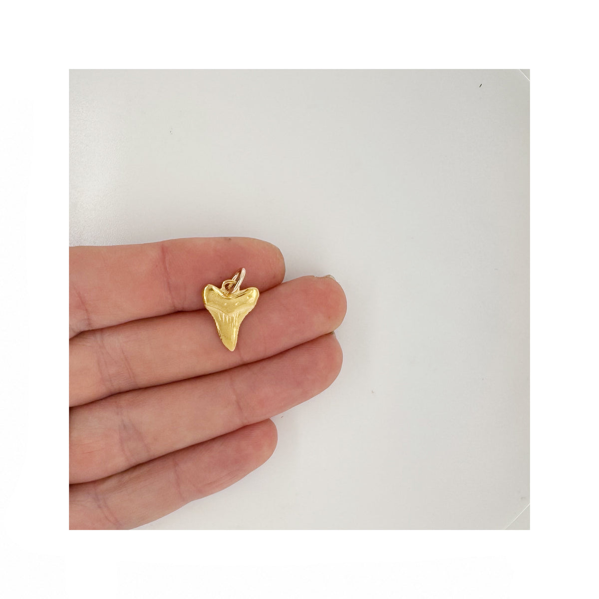 Nantucket Shark tooth Necklace in Gold Plate