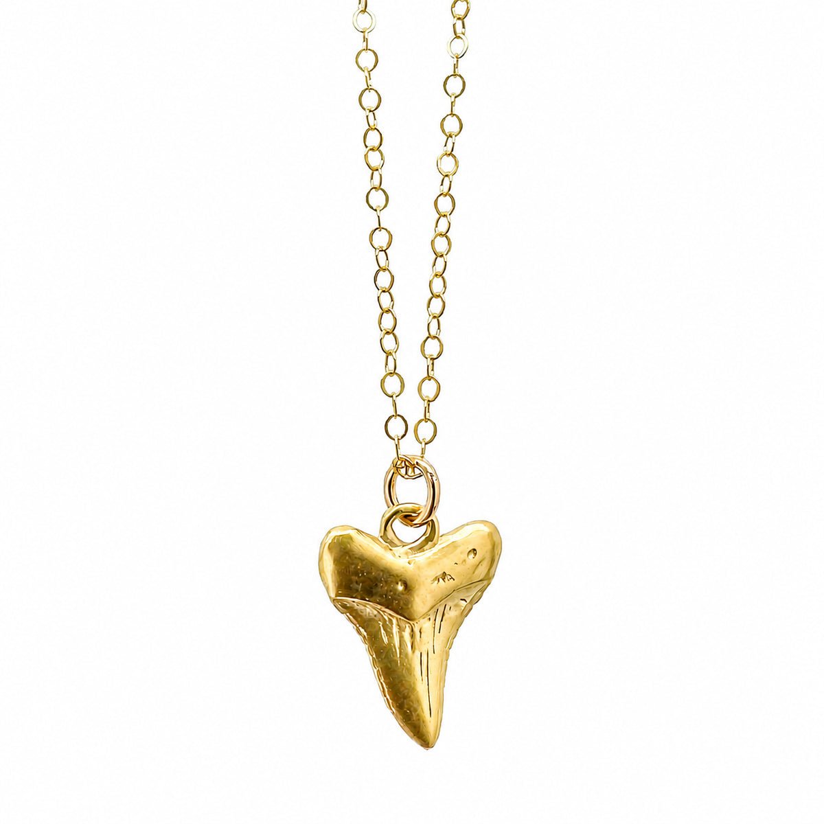 Nantucket Sharktooth Necklace in Gold Plate
