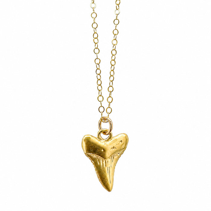 Nantucket Sharktooth Necklace in Gold Plate