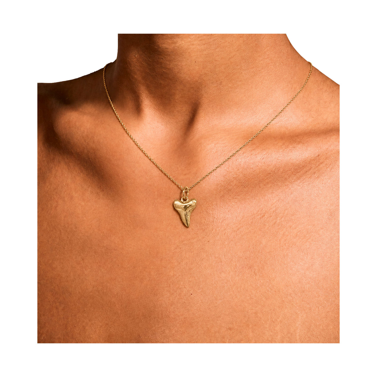 Nantucket Shark tooth Necklace in Gold Plate