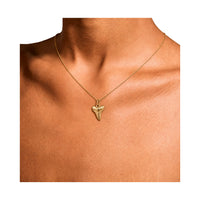 Nantucket Shark tooth Necklace in Gold Plate