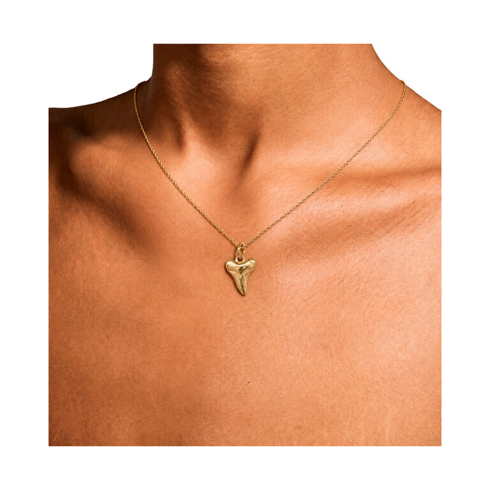 Nantucket Shark tooth Necklace in Gold Plate