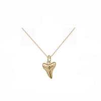 Nantucket Shark tooth Necklace in Gold Plate