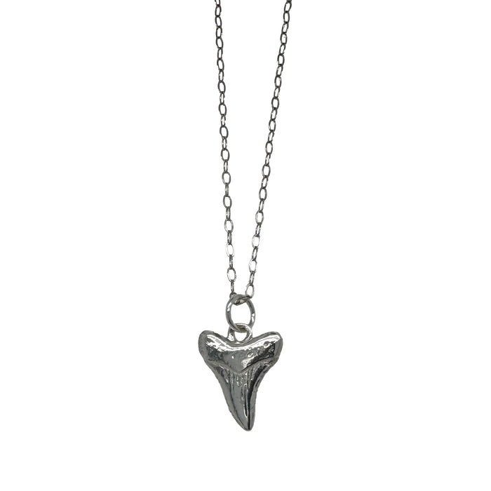 Nantucket Shark Tooth Charm in Silver