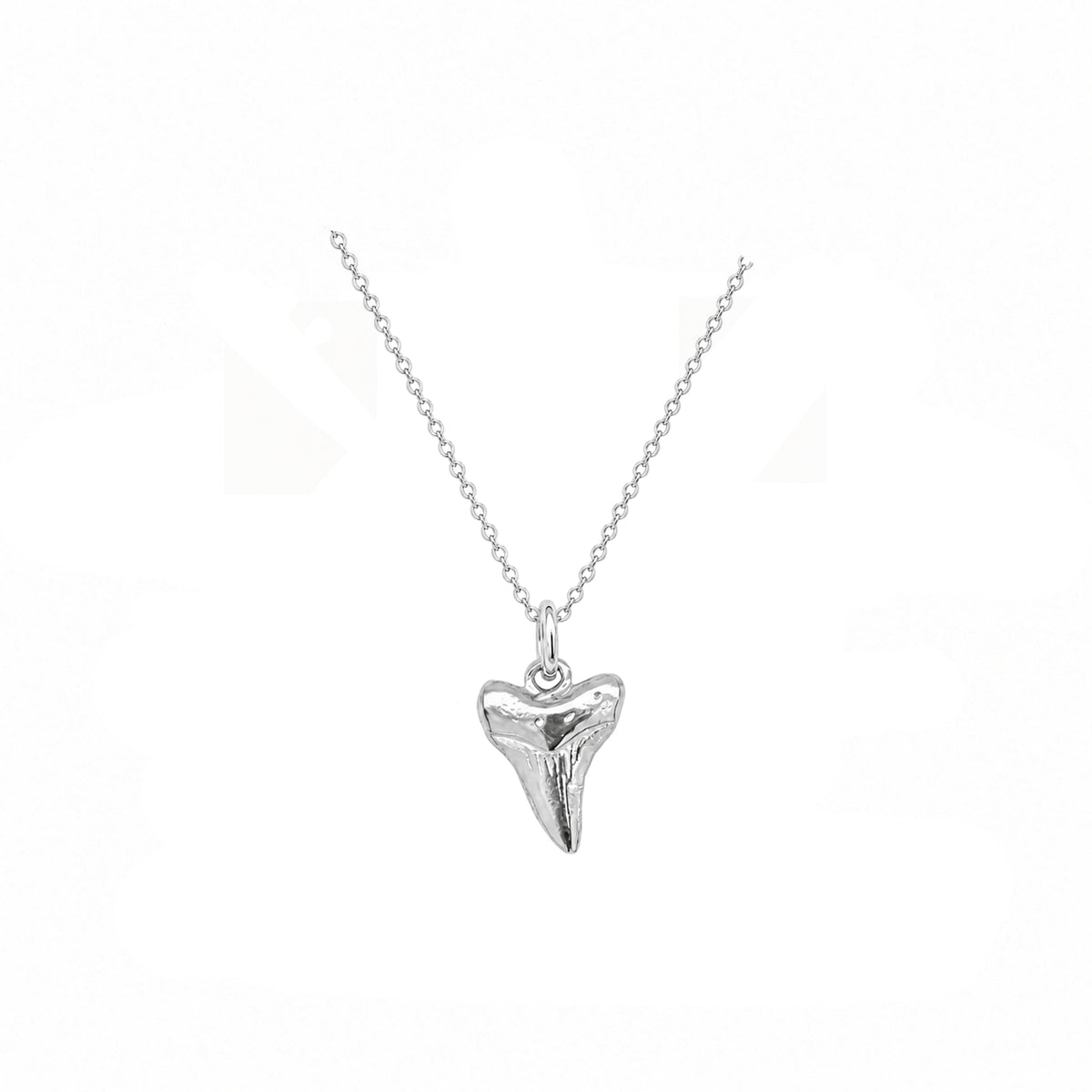 Nantucket Shark tooth Necklace in Silver