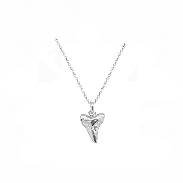 Nantucket Shark tooth Necklace in Silver