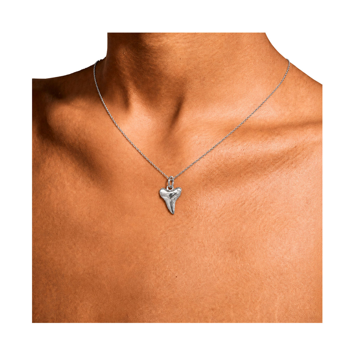 Nantucket Shark tooth Necklace in Silver