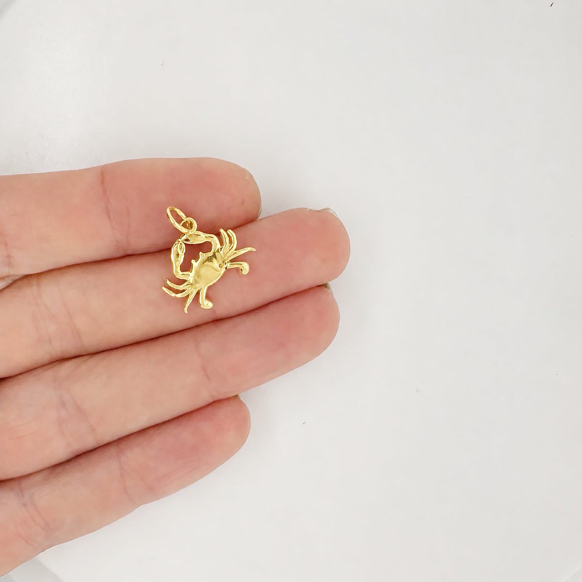 Small Crab Charm Necklace In Gold Plate