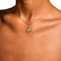 Small Crab Charm Necklace In Gold Plate