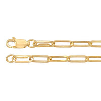 Large Paperclip Chain  in 14k Gold