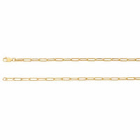 Large Paperclip Chain  in 14k Gold