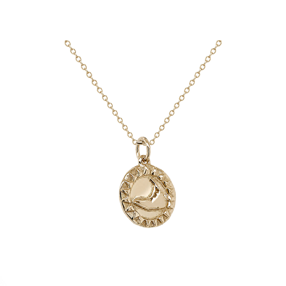 Small Nantucket Sunshine Necklace in Gold Plate