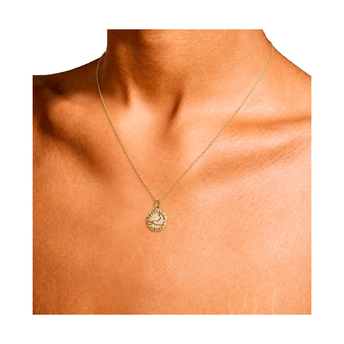 Small Nantucket Sunshine Necklace in Gold Plate
