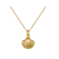 Nantucket Shell Necklace In Gold Plate