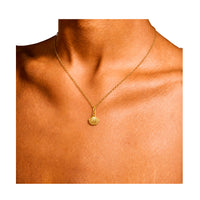Nantucket Shell Necklace In Gold Plate