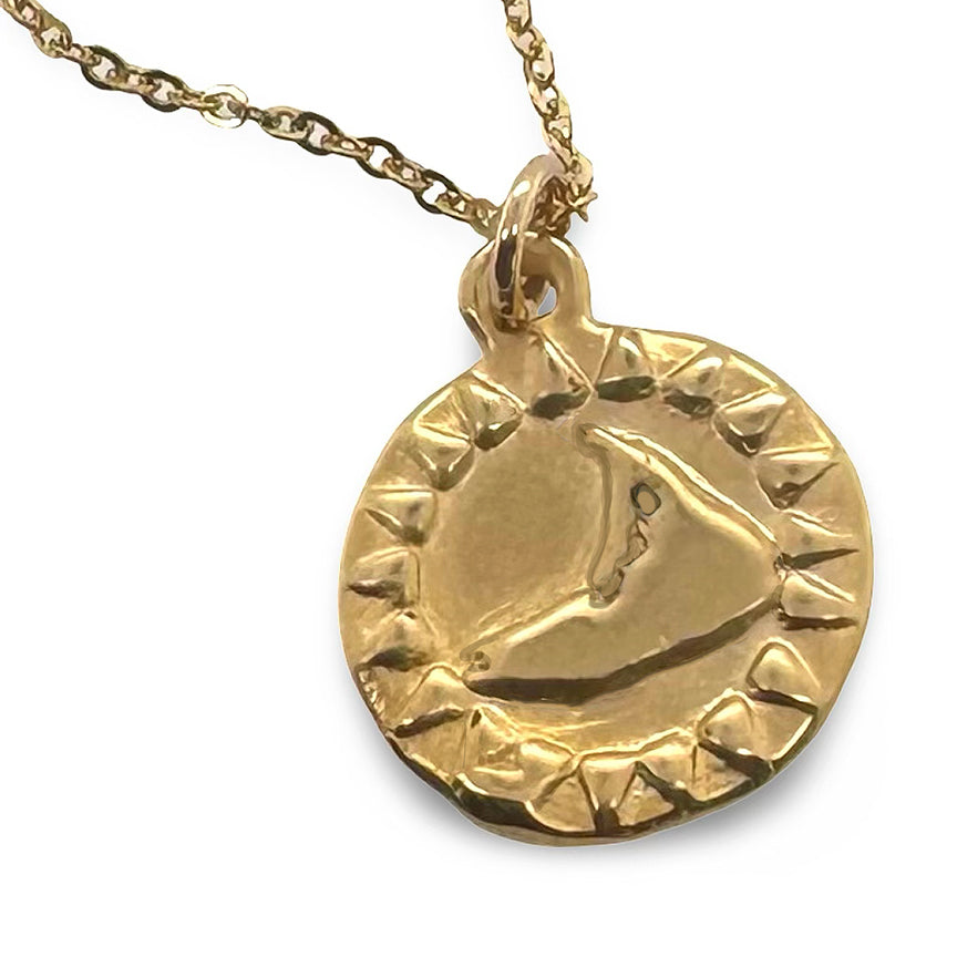 SMALL NANTUCKET SUNSHINE NECKLACE IN GOLD